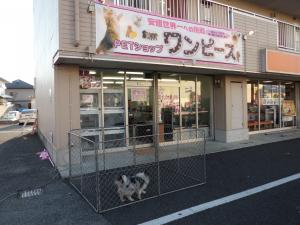 ペットショップ　ワンピース　甲府店