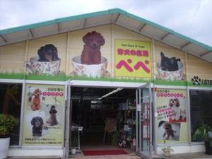 仔犬の広場ペペ