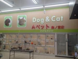 ペットショップ Aペット森ノ宮店