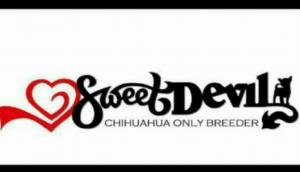 SWEET DEVIL