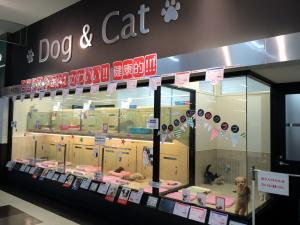 マルワン武蔵浦和店(JR武蔵浦和駅すぐ近く)
