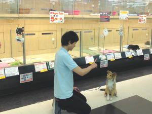 マルワン志村坂下店 (美女木JCTから15分)