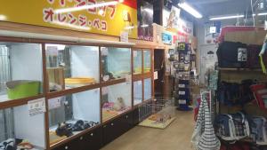 オレンジ・ペコ 三鷹店