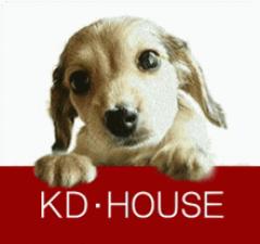 カニンヘンダックス専門ブリーダーKD・HOUSE