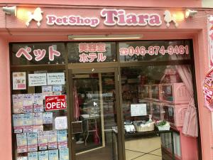 ♡ペットショップ ティアラ♡