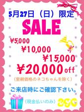 アゴはネコ ネコ専門店・代々木駅徒歩1分ペットショップ
