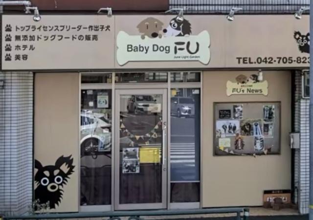 Baby Dog　FU　ジューンライトガーデン