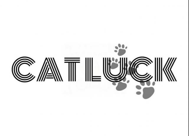 CatLuck