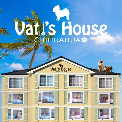 Vati's House