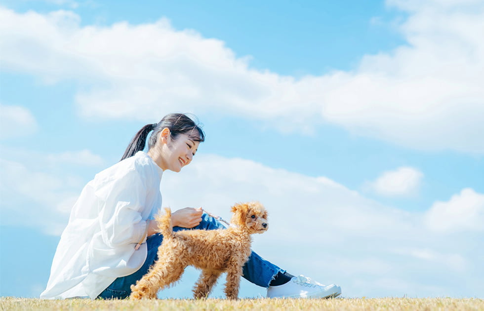 全国のペットに出会える場所