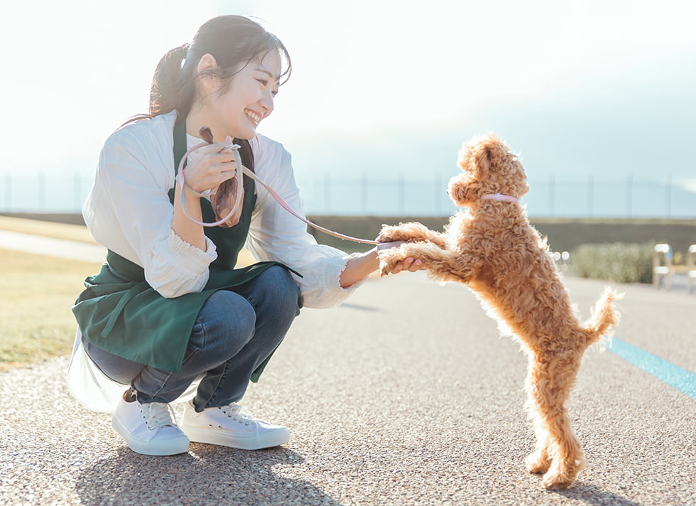 ずっと無料で使える