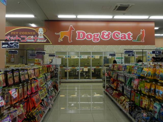 ディスワン清水天王店