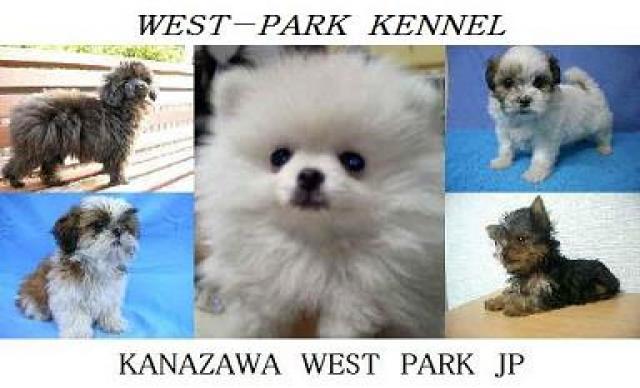 westpark-kennel