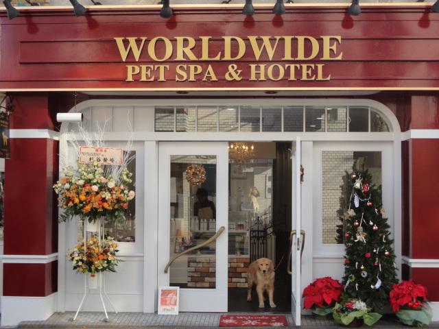 Worldwide Pet Spa & Hotel