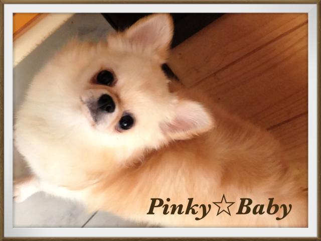 Ｐｉｎｋｙ☆Ｂａｂｙ