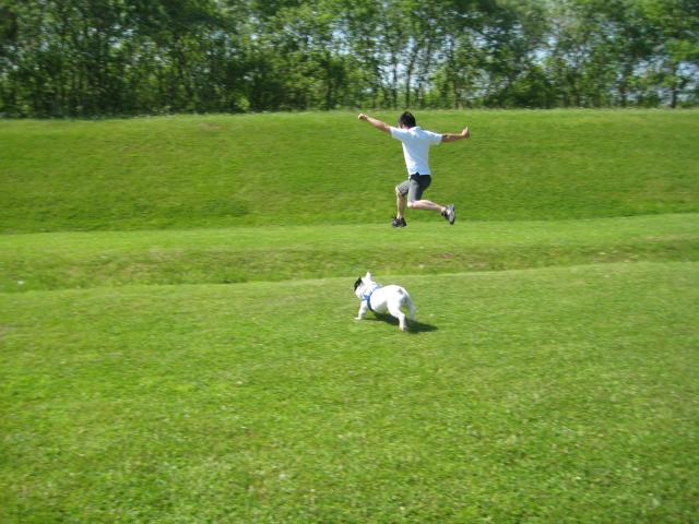 N's dog