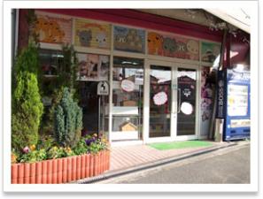 フェレット・チンチラ等の小動物専門店 ペットショップ マリン(marin)