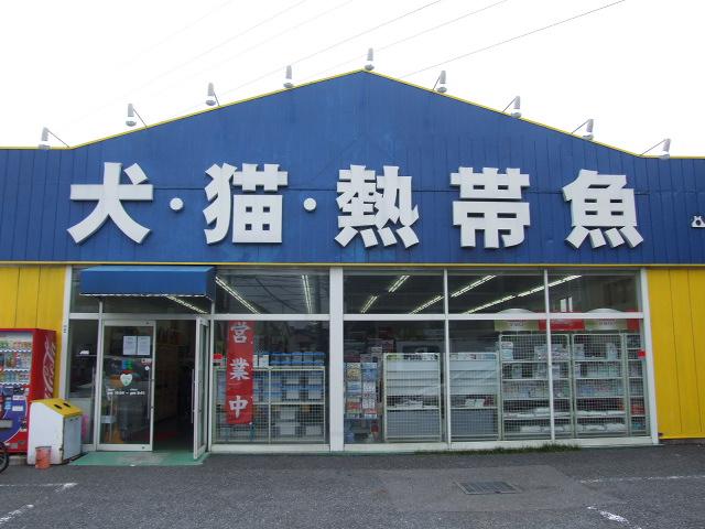 かねだい戸田店