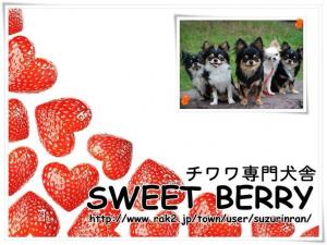 sweet berry