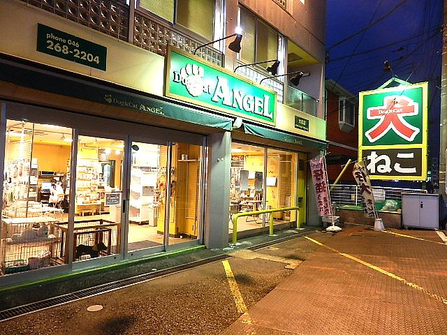 ペットショップエンゼル大和店