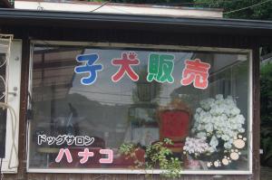 ブリーダーハウス花子