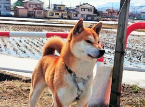 高田山中荘