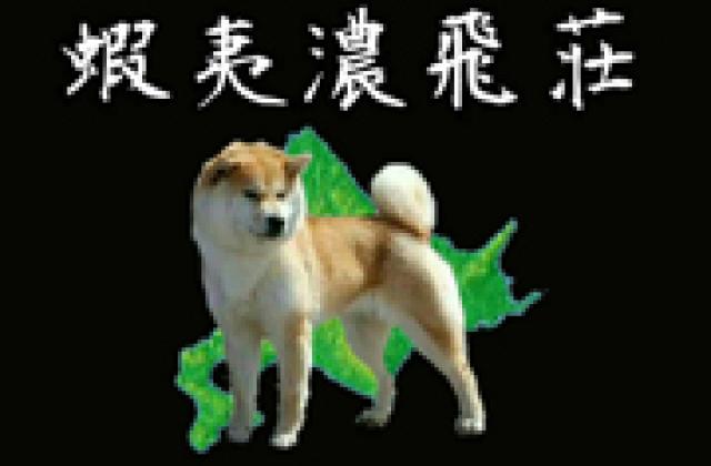 柴犬専門犬舎　蝦夷濃飛荘