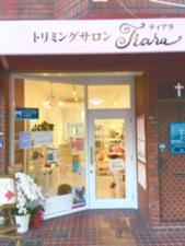 トリミングサロン Tiara