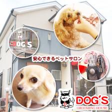 DOGS