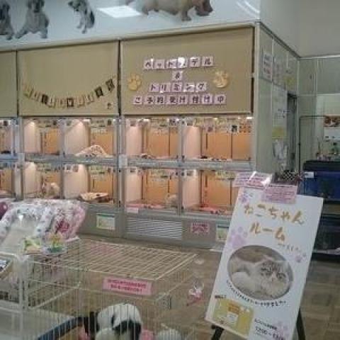 ベネ ディスワン若葉台店