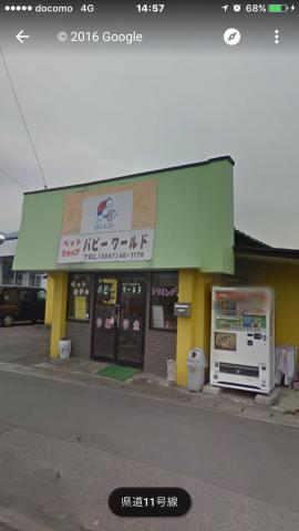 パピーワールド