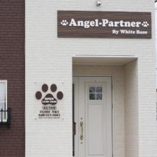 Angel-Partner