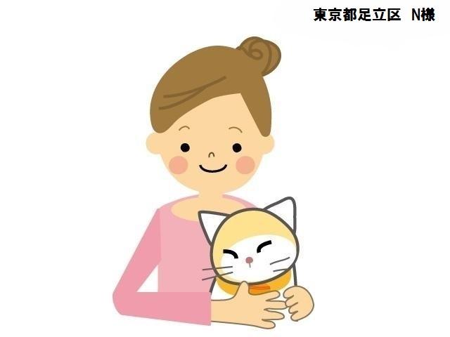 スコティッシュフォールド