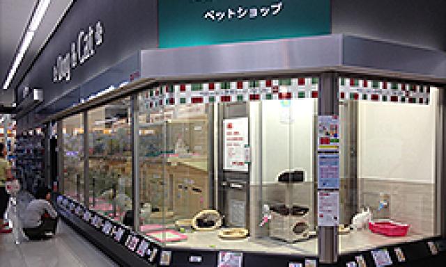 ペットショップマルワン大倉山店（横浜市）