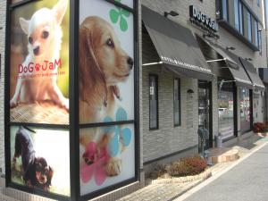 DoG JaM
