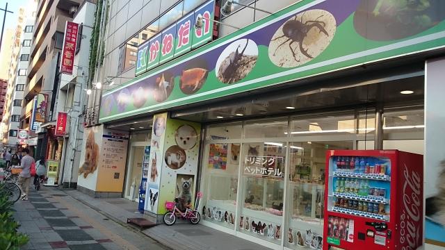 かねだい  横浜店