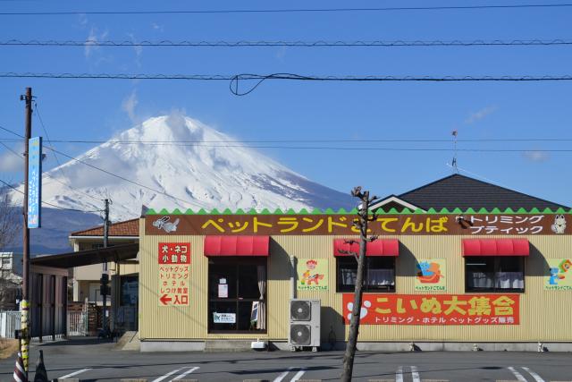 東名御殿場インターからすぐ。富士山と箱根の間です。