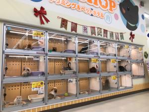 スタイルパウズ川口店