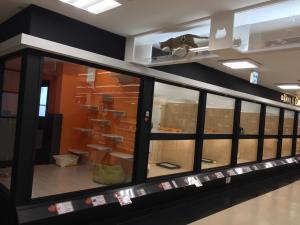 ロイヤルドッグサロン 王禅寺店