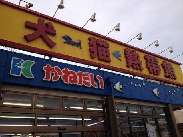 かねだい青梅店