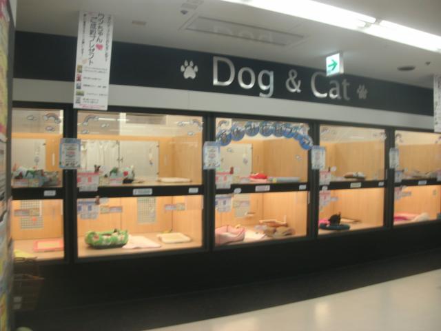 パッションＯＮＥ　ユアペティア川崎鹿島田店
