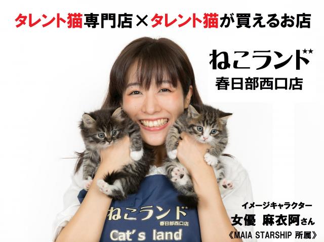ペットステーション