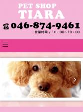 ♡ペットショップ ティアラ♡