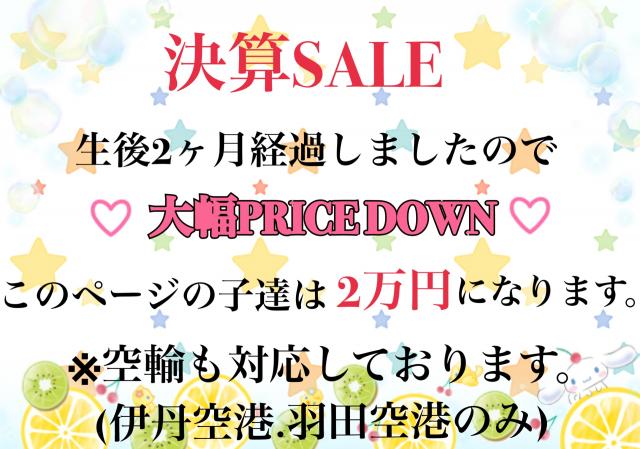 MIX(雑種)☆ママはチャンピオン☆