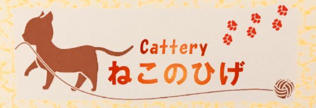 Cattery　ねこのひげ