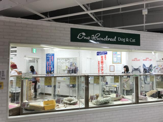 かねだい立川店