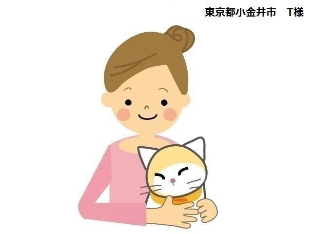 スコティッシュフォールド【立ち耳】