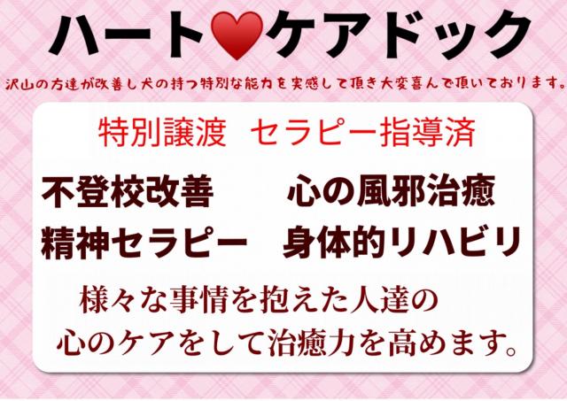 《ハートケアドック》不登校の改善や認知症予防、ペットロスなど心のケアをするわんちゃん画像3