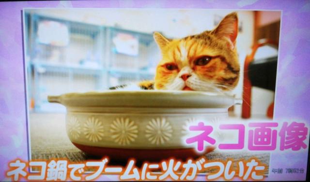 ペットステーション ペットステーション