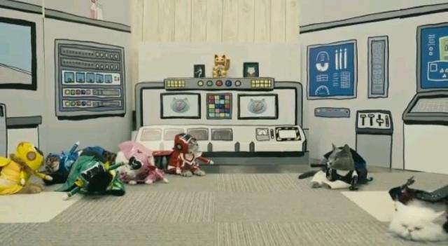 祝 ネコ戦隊 びたたま 第13話 最終回 Tbsテレビ に出演 タレント猫専門店 ねこランド春日部西口店 子犬や子猫たちのペット販売情報が満載 ペットステーション